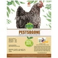 thumbnail image 2 of PestsBGone Backyard Chicken Coop Herbs (1.25 Pound): Keep Flies, Ants, Spiders, Mice, Rats Away Naturally, 2 of 4