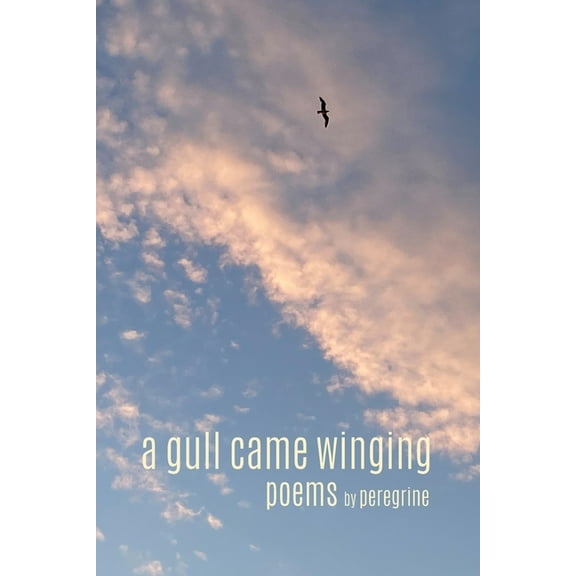 A gull came winging: poems, (Paperback)