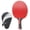 Red [cite: 7], variant on REGAIL Premium Double Sided Rubber Table Tennis Paddle, Handshake Grip Training Racket with Beef Tendon Rubber, Green Color, 11.81 inches / 30.00 cm [cite: 13]