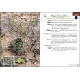 thumbnail image 2 of Cactus of Arizona Field Guide, 2 of 7
