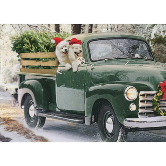 Avanti Press Fluffy White Dogs Riding in Old Fashioned Green Pickup Truck Christmas Card (1 card/1 envelope)