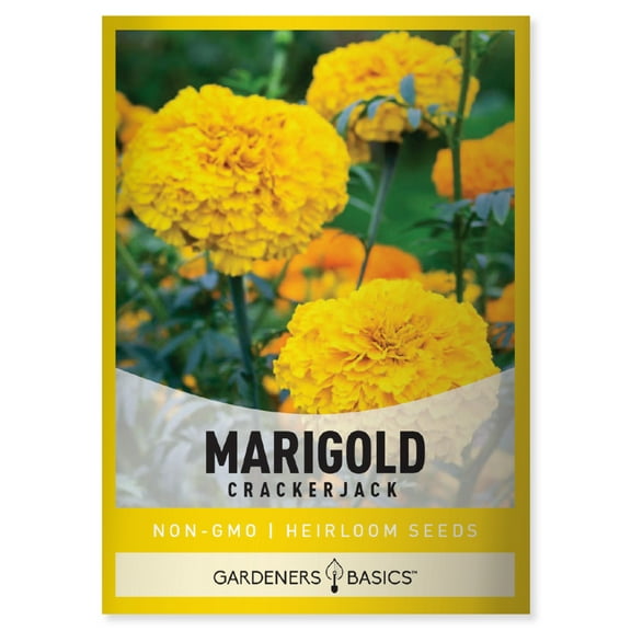 African Marigold Crackerjack Seeds