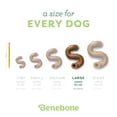 thumbnail image 4 of Juguete masticable para perros Benebone Tripe Bone duradero para masticadores agresivos, 4 of 6