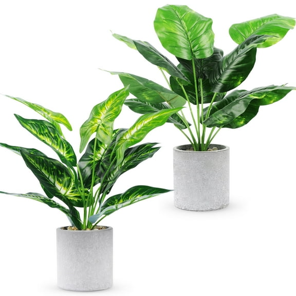 Miracliy 16 in Artificial Ficus in Green Pulp Pot 2 Count