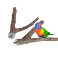 thumbnail image 2 of 2 pieces of parrot habitat natural bird bracket grinding claws climbing wooden cage accessories and toys, suitable for long tailed parrots, love birds, parrots, parrots, and finches (15cm), 2 of 4