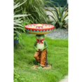 thumbnail image 1 of Luxen Home Resin Southwestern Frog Bird Bath, 1 of 1