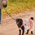 thumbnail image 4 of HEANUJJ Robe de Princesse Légère pour Chien avec Ailes de Papillon Durable et Lavable en Machine, 4 of 7