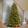 thumbnail image 2 of National Tree Company 7.5 ft. Arcadia Pine Tree with Clear Lights, 2 of 3