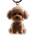 thumbnail image 6 of Sylvtty Dog Hair Collector Keychain Dog Shape Charm Keychain Memorial Storage Box Transparent Pet Fur Keepsake Capsule Memorial Gift for Pet Lovers, 6 of 7