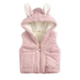thumbnail image 2 of Esaierr Kids Baby Girls Fleece Vest Outwear Little Girls Autumn Winte Thickened Sleeveless Jacket Toddler Newborn Zipper Plush Waistcoat Standing Collar Hoodies Warm Cotton Vest Coats for 6M-5Y, 2 of 8