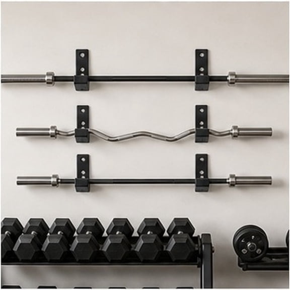 HAMPPLIES 4Pcs Black Barbell Rack Wall Mounted Holder for Fitness Equipment and Weight Plates