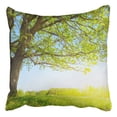 thumbnail image 1 of BOSDECO Big Tree Fresh Green Leaves Green Spring Meadow Pillowcase Cover Cushion 16x16 inch, 1 of 1