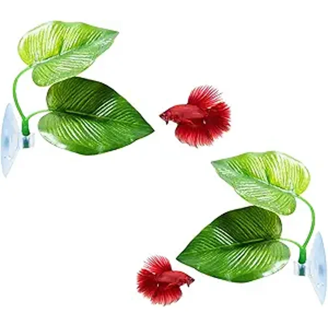 Xiao Hua Paquete de 2 almohadillas de hojas para peces Betta que mejoran la salud simulando su hábitat natural. Área de descanso natural, orgánica y cómoda para adornos de acuario.