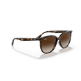 thumbnail image 6 of Ray-Ban Square Sunglasses for Women, Polished Havana Frames with Gradient Brown Lenses, Size 54, 6 of 6