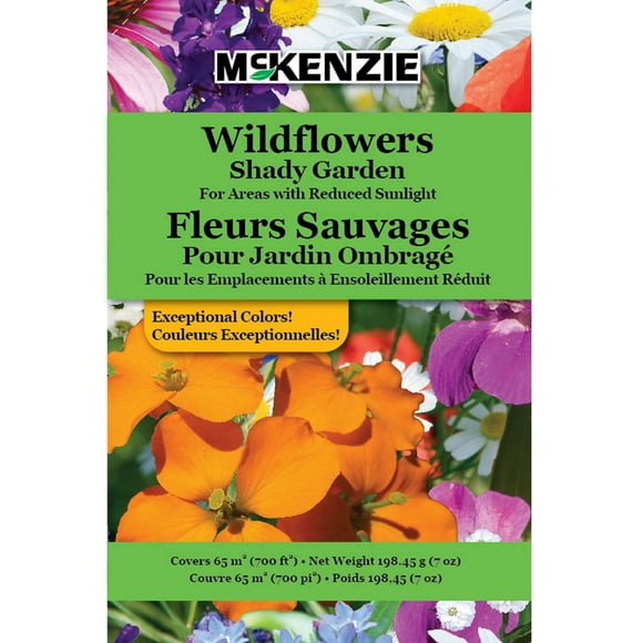 Fleurs sauvages pour jardin ombragé