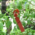 thumbnail image 5 of Unique Bargains PVC Plant Label Stake 21 x 2 cm Water Resistant for Garden Red 100 Pack, 5 of 5
