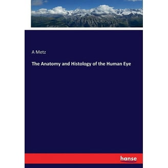 The Anatomy and Histology of the Human Eye (Paperback) - Walmart.com