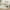 Beige, variant on Harper & Bright Designs Twin XL to King Size Linen Upholstered Daybed with Two Drawers, Extendable Daybed Frame with Pop-up Trundle Bed for Guest Room, Beige