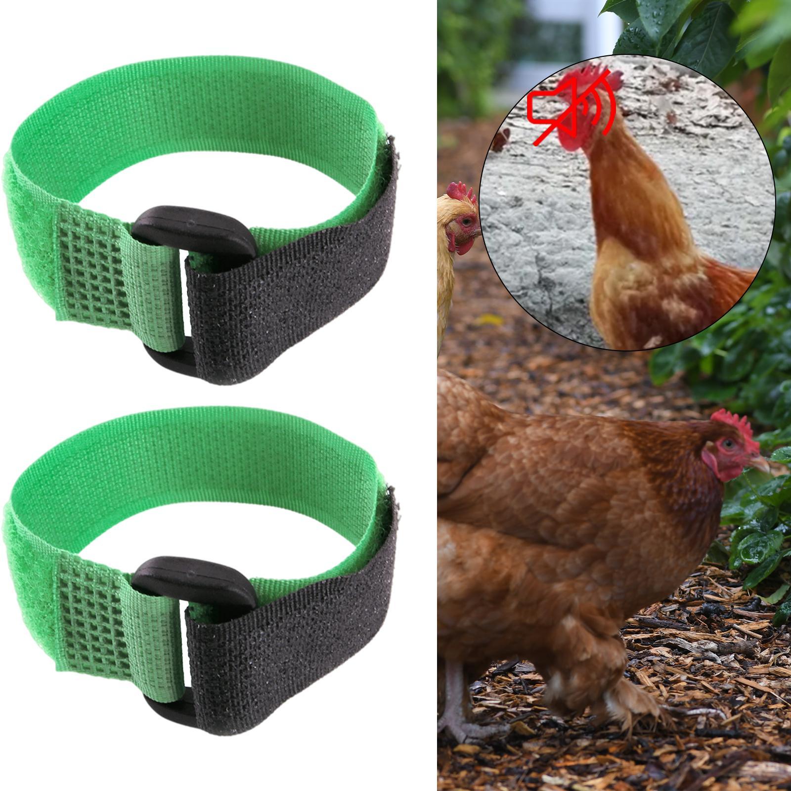 Anti Crow Collar Neckband Roosters Cockerel Noise Neck Belt