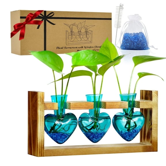 Plant Terrarium for Office Decor - Wooden Stand Tabletop Planter 3 Bulb Glass Vase Heart Shaped for Hydroponics Indoor Home