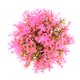 thumbnail image 1 of 1uds Acuario Césped Bola Paisaje Plantas Rosa 3.74x3.74 Pulgadas, 1 of 1