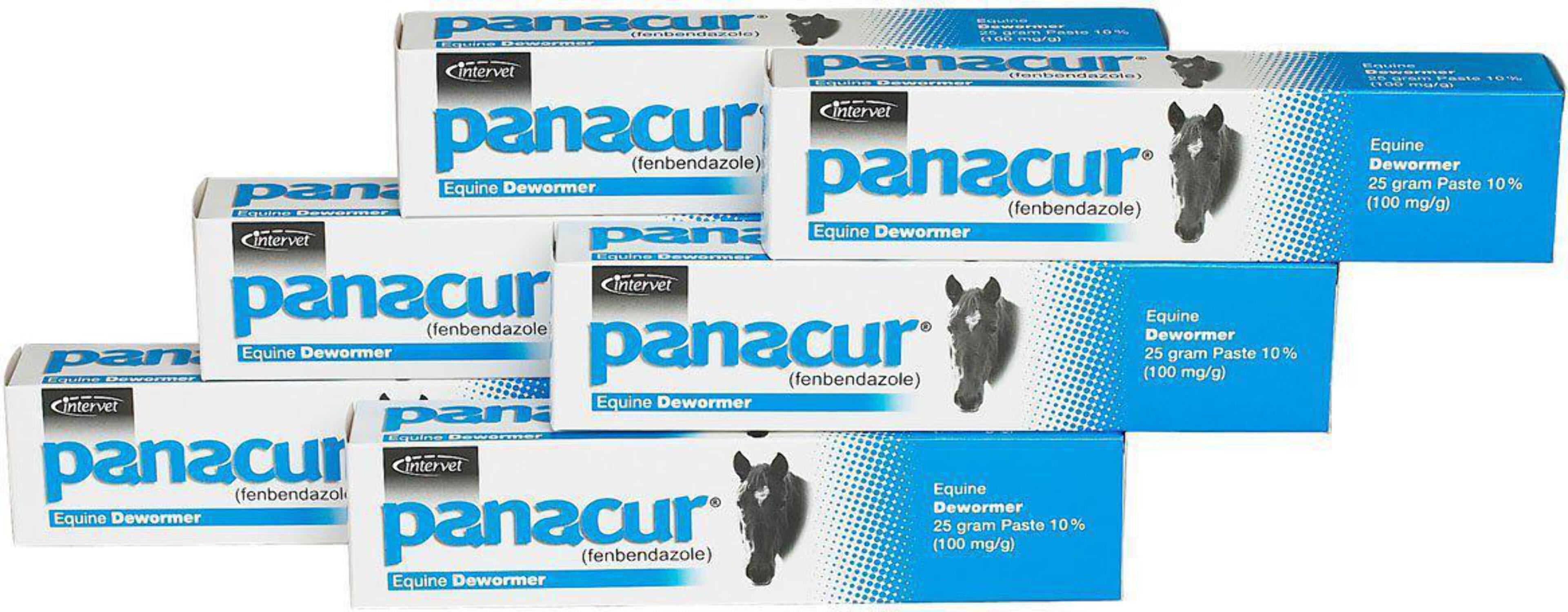 Panacur Equine Paste 10 Horse Wormer 100mg 6Pack