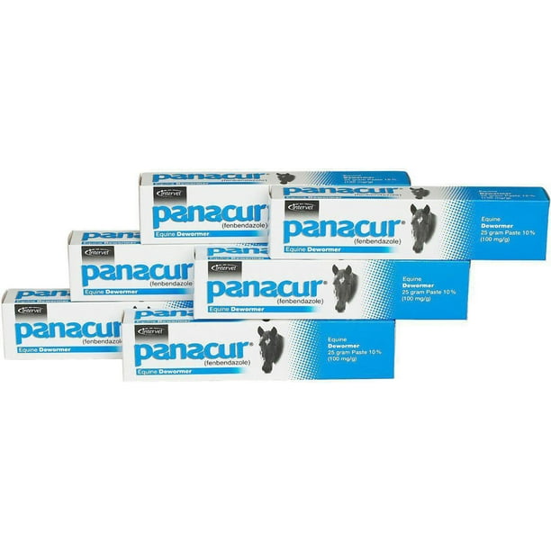 Panacur Equine Paste 10 Horse Wormer 100mg 6Pack