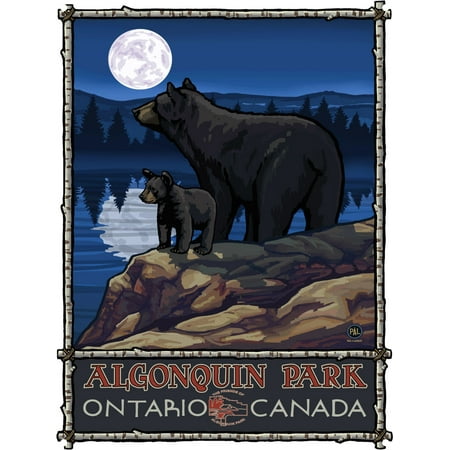 Algonquin Park Ontario Canada Bear Lake Moon Hills Metal Art Print by Paul A. Lanquist (9