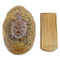 thumbnail image 2 of CAJA DE LLAVE OCULTA DE ROCA, LLAVE DE PIEDRA AL AIRE LIBRE QUE ES UNA VIDA DELECTIVA DELECTIVA RESTENTE A LA LA INTempERIE PARA JARDÍN, 2 of 7