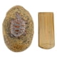 thumbnail image 2 of Rock Key Hider, Acceso Conveniente Caja de Almacenamiento de Llave de Piedra Decorativa Vigilante Múltiple Colocación para Patio, 2 of 7