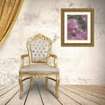 thumbnail image 3 of Rotenberg, Nancy 15x18 Gold Ornate Wood Framed with Double Matting Museum Art Print Titled - Dandelion seeds with feathery tentacles, 3 of 4