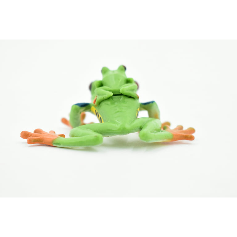 Frog, Red-Eyed Tree Frog with Baby, Museum Quality, Rubber Toy Amphibian,  Realistic Figure, Model, Replica, Kids, Educational, Gift, 2 SF01 B17
