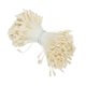 thumbnail image 1 of Uxcell 2.5mm Doble Cabezas Estambre de Flor, 340 Pcs Pistilo de Flor Artificial Mate para Decoración Navideña DIY, Blanco Crema, 1 of 6