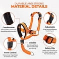 thumbnail image 2 of Safety Strap Dog Head Halter: Reflective Dog Head Collar for No-Pull Training - Adjustable Harness_Special Gift, 2 of 5