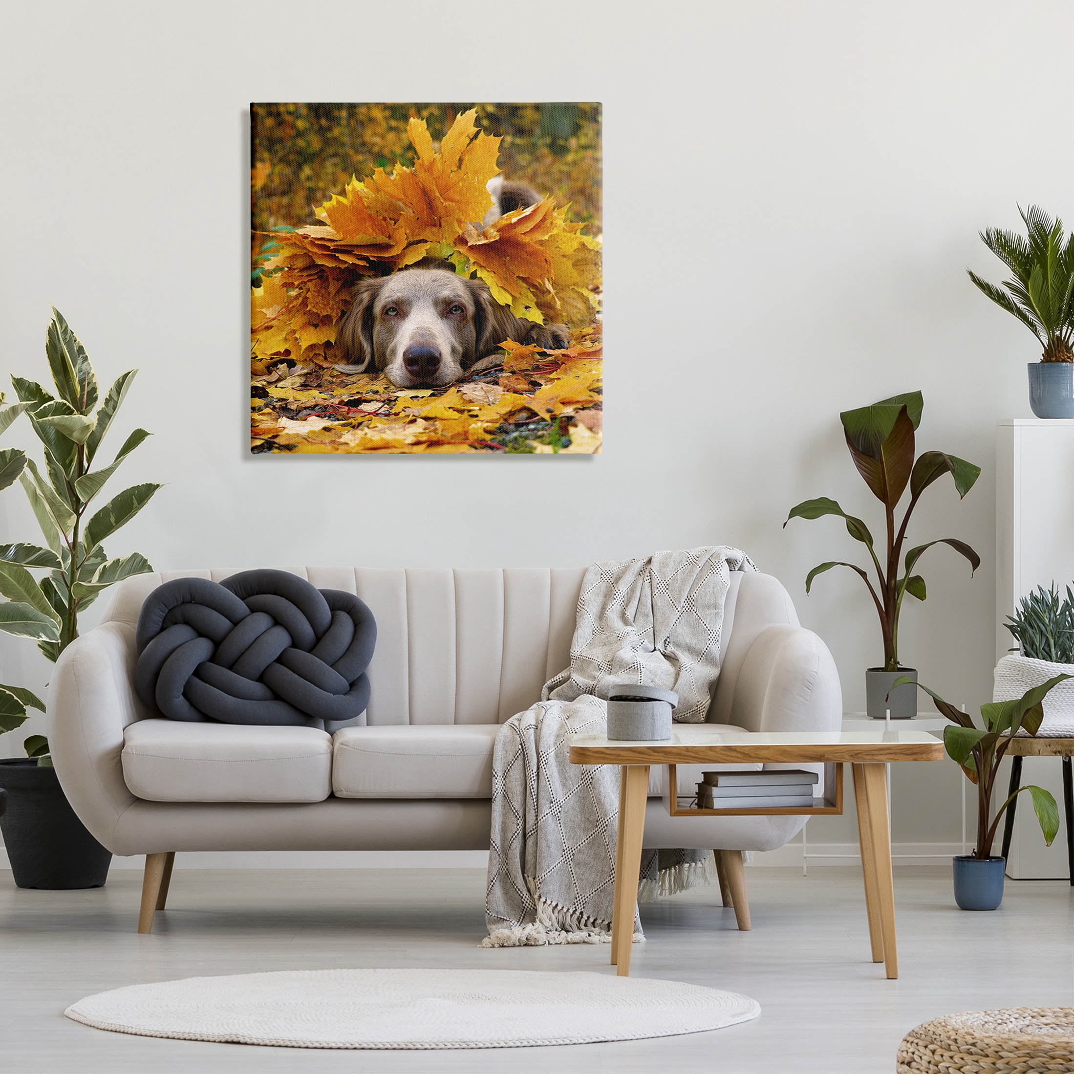 Stupell Industries Happy Puppy Autumn Foliage Photograph Gallery Wrapped Canvas Print Wall Art, Design by Lil' Rue