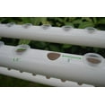 thumbnail image 4 of INTBUYING Hydroponic Site Grow Kit with Pump Baskets Water Culture Garden 36 Plant Sites, 4 of 4