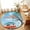 Blue, variant on Entryway Rug 2'x3', Let's Go Camping Kitchen Runner Rugs Non-Slip Carpet Mats, Modern Camper Van Trees Blue Sky Bedside Rugs Runners Washable Floor Carpet for Bathroom Laundry Room