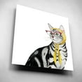 thumbnail image 5 of Epic Art 'Cool Cat III' by Grace Popp, Acrylic Glass Wall Art, 12"x12", 5 of 8