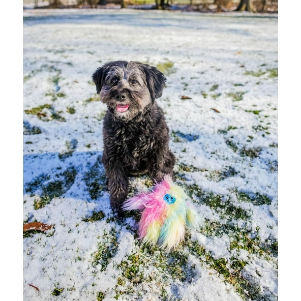 Multipet Plush Rainbow Yeti Dog Toy - Walmart.ca