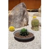thumbnail image 4 of Veradek Pure Series Lane Bowl 24" Planter 2 Pack Grey, 4 of 8
