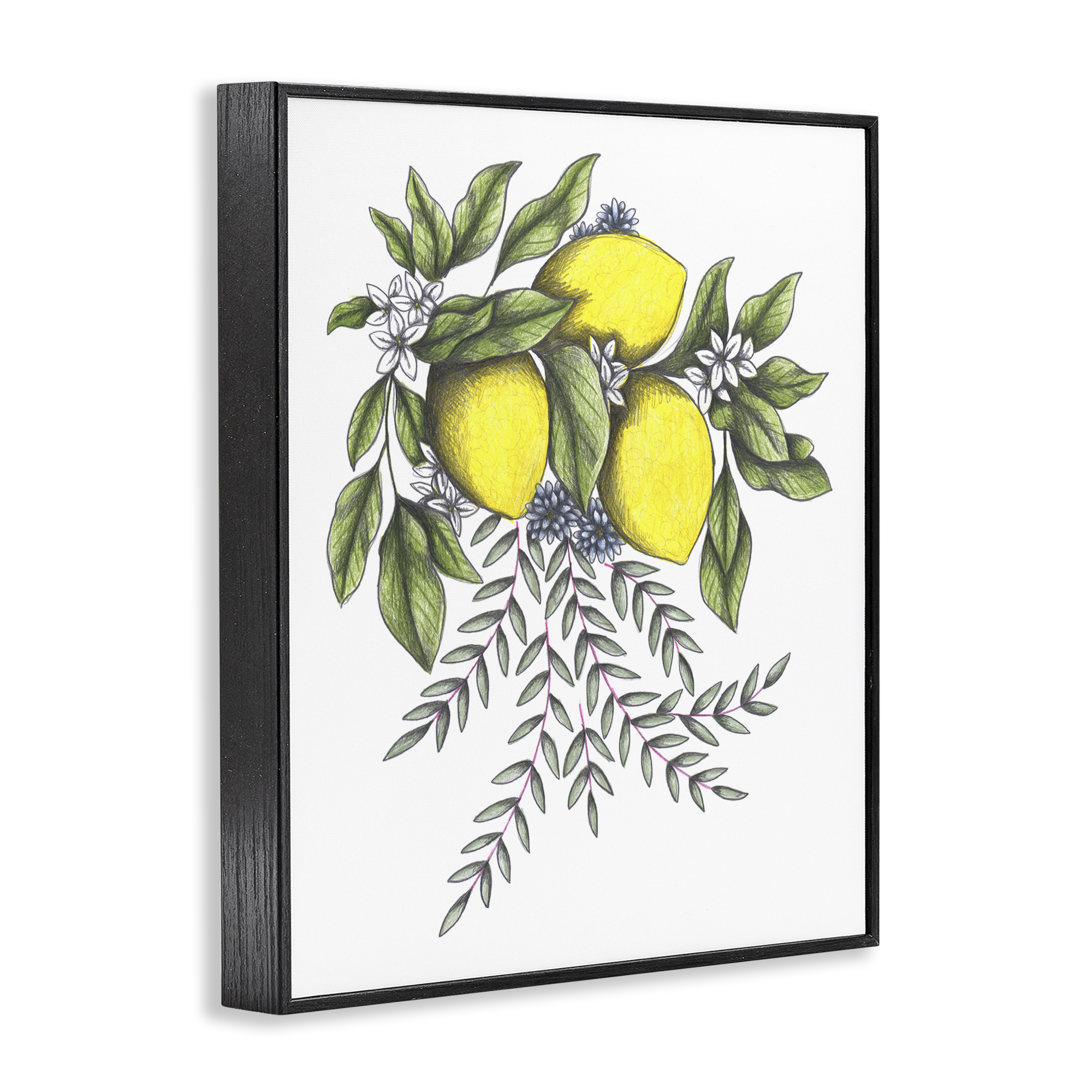 Lemons & Flowers Vintage Sketch Black Framed Giclee Art, design by Cecilia Battaini