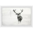 thumbnail image 2 of Marmont Hill Elk Stare Framed Wall Art, 2 of 5