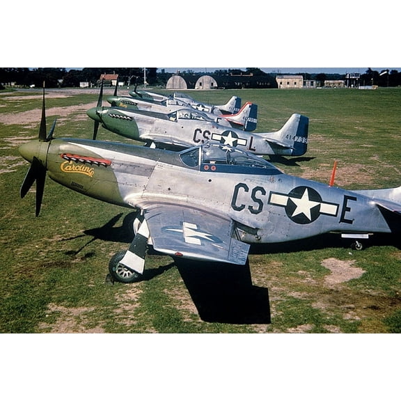 359th Fighter Group P-51D Mustangs WWII - 12x18 Inch Laminated Aviation Poster - Stunning Detail and Bold Colors