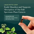 thumbnail image 6 of Gaia Herbs Rhodiola Rosea - Stress Support Supplement Traditionally for Supporting Healthy Stamina & Endurance* - With Siberian Rhodiola Root Extract - 120 Vegan Liquid Phyto-Caps (120 Servings), 6 of 9