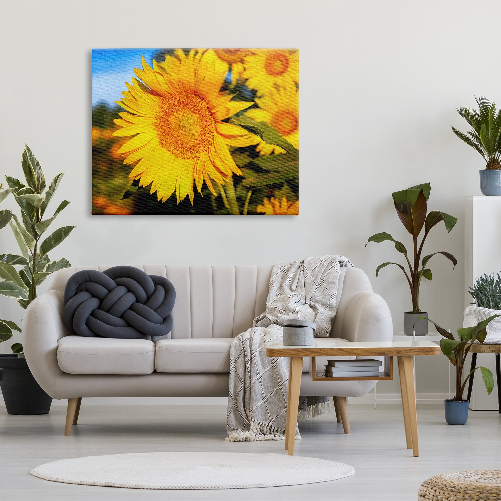 Stupell Industries Country Sunflower Photography Botanical & Floral Photography Gallery Wrapped Canvas Art Print Wall Art, 48 x 36