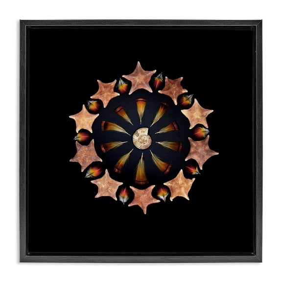 Stupell Industries Coastal Nautical Nature Arrangement Black Floating Frame Canvas Art, 18 x 18, by Beth Adoette