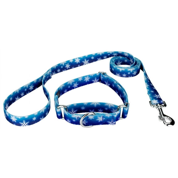 Country Brook Petz® 3/4 inch Winter Wonderland Martingale Dog Collar and Leash, Medium