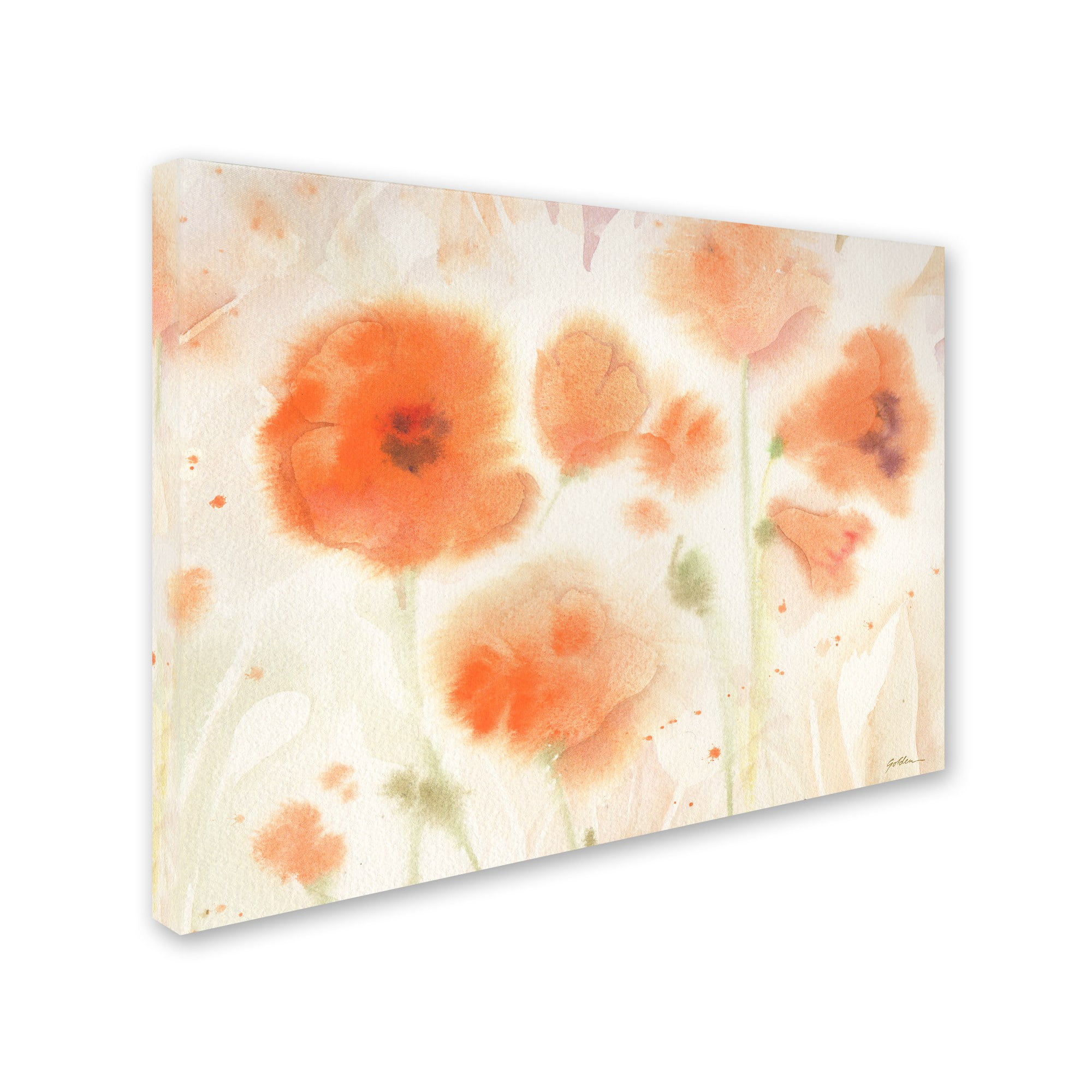 Trademark Fine Art "Orange Tones" Canvas Art by Sheila Golden
