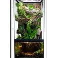 thumbnail image 3 of Zoo Med Paludarium Habitat Kit, 3 of 9