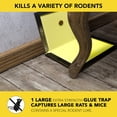 thumbnail image 3 of Harris Super Size Rat and Mouse Glue Trap, Extra Large Surface, Non Toxic, Ready to Use, No Bait Required 3PCK, 3 of 8